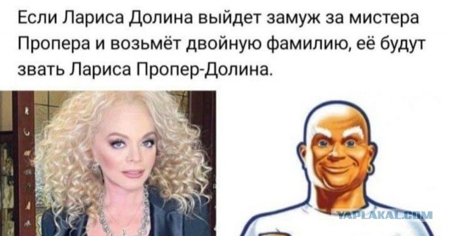 «Перепланировка» природы: Долиной придётся расстаться с ₽160 млн из-за новой проблемы