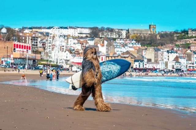 Картинки на  среду 25.02.2026