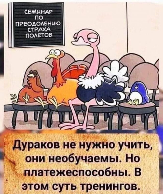 Так себе картинки 14.08.26