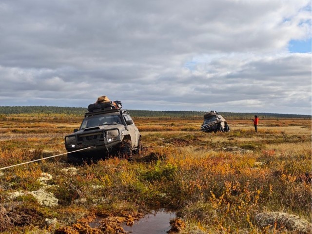 Осенняя тундра
