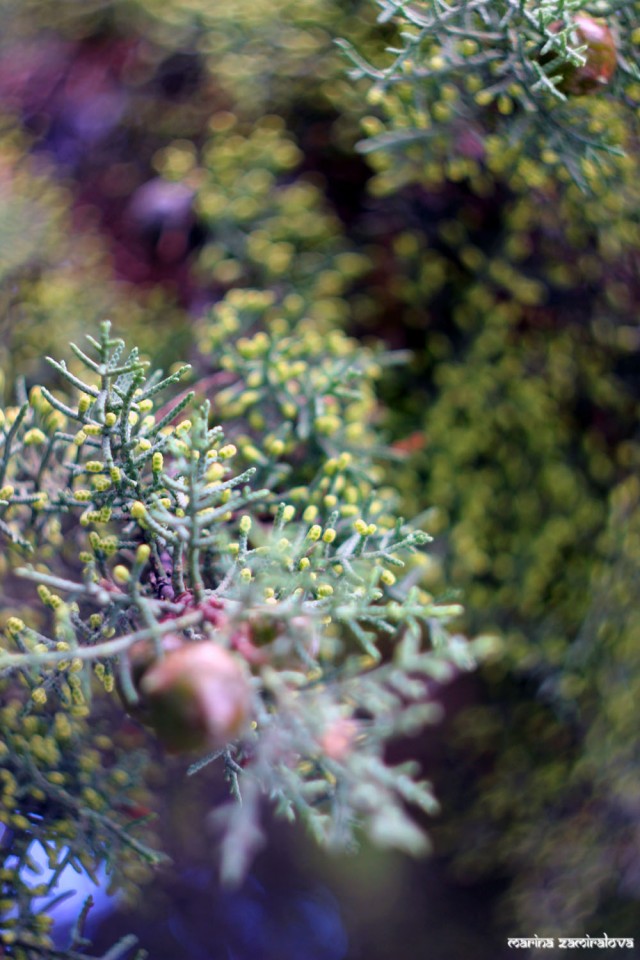 Крым: Судак и окрестности