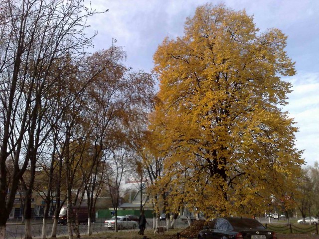 В Киеве осень. 20 фоток