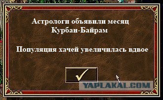 На злобу дня