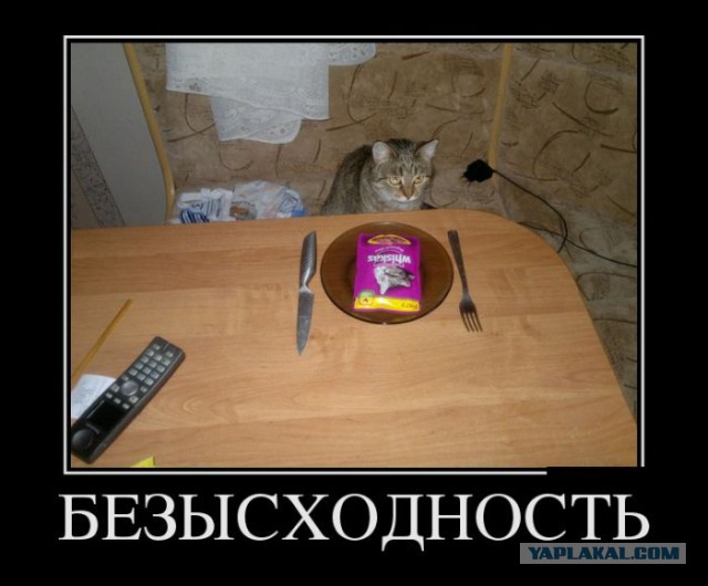 Позитивные картинки