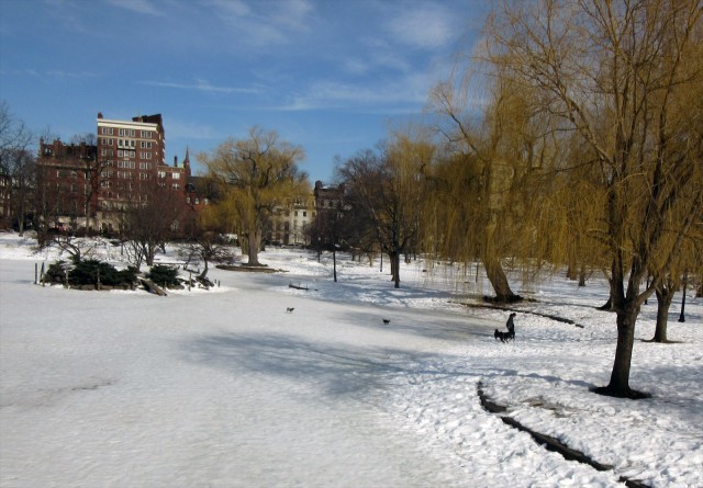Деревенская Америка