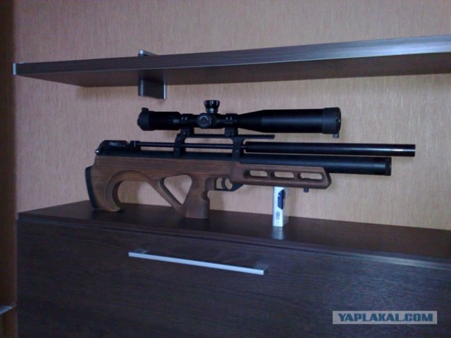 Расстрел собак в магазине