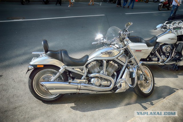 Harley Days-Петербург 2015