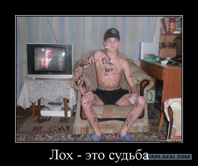 Успешные люди из соцсетей