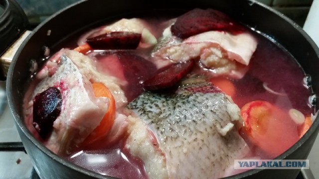 Гефилте фиш – классическая фаршированная рыба по-еврейски.