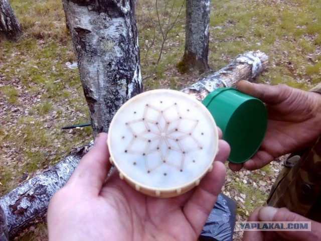 Как мы День Победы  отмечаем...