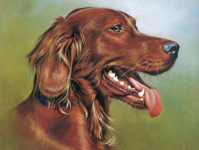 Рисованное зверьё