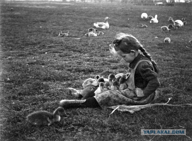 Вот оно какое наше лето!