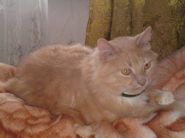 20 фото из жизни сильных и независимых мужчин