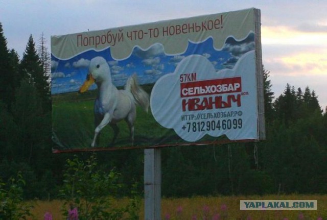 То чувство, когда не можешь разминуться