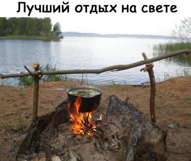 Подборка интересных и веселых картинок