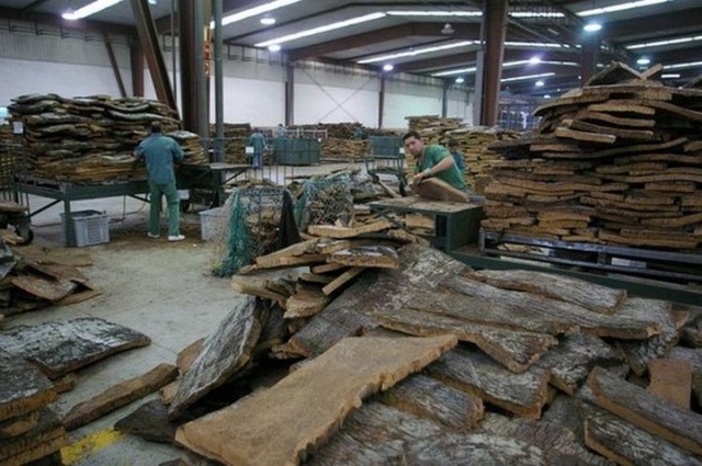 Из чего и как делают пробку