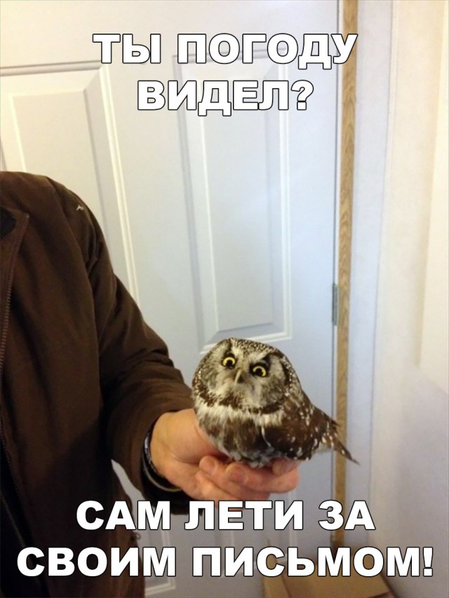 Прикольные картинки абавсём