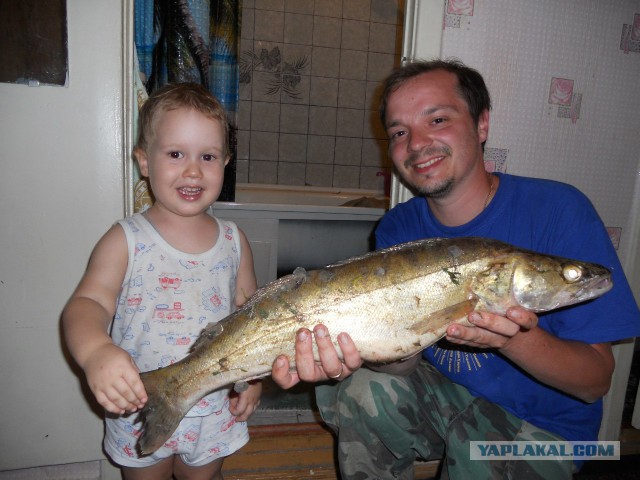 Весна, ждем рыбалки по открытой воде.