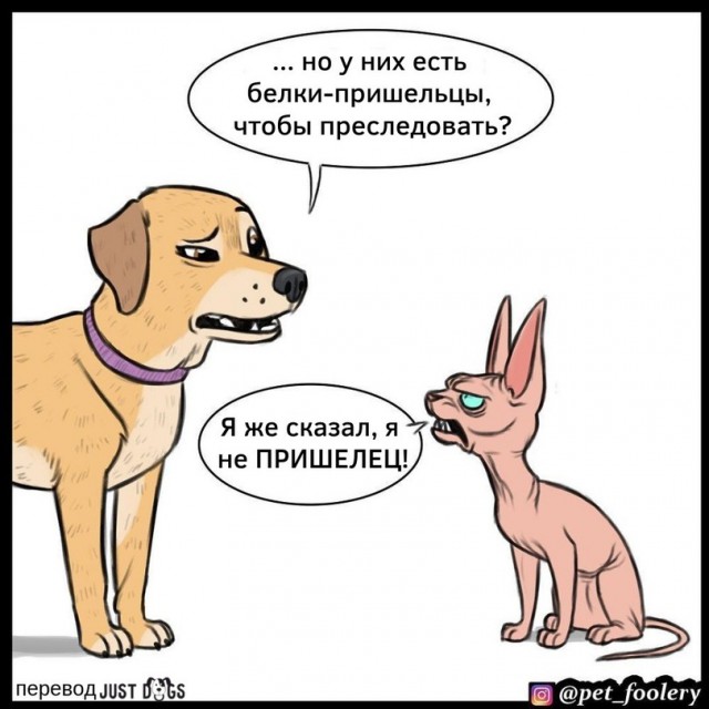 Бруд и Пикси