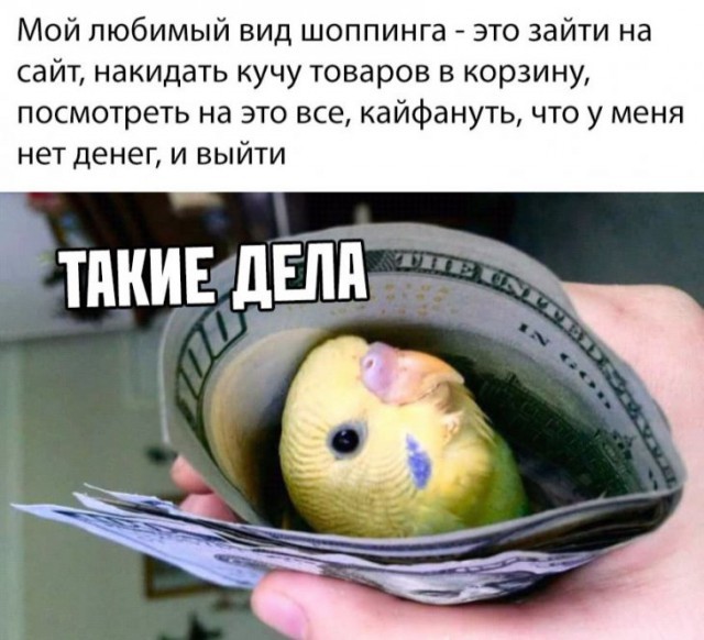 Немного картинок для настроения