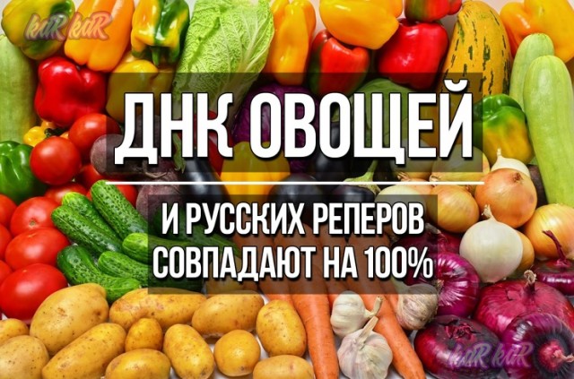 Картинки ниАчем