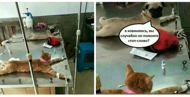 Женщины подсознательно желают быть изнасилованными?