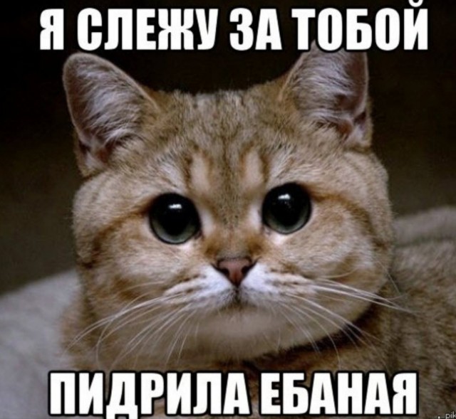 Пошел Нахуй Скотина Ебаная