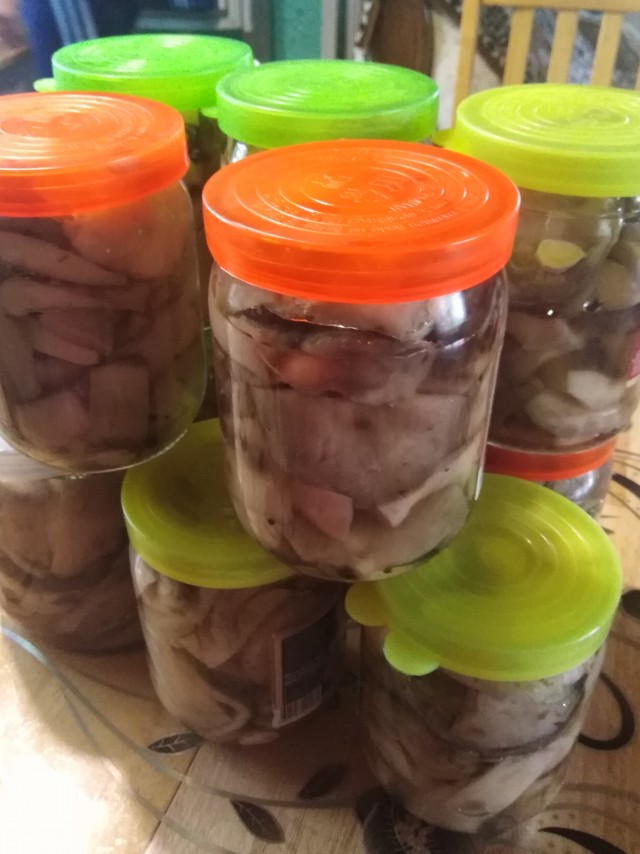 Грибы, которые собрали мы