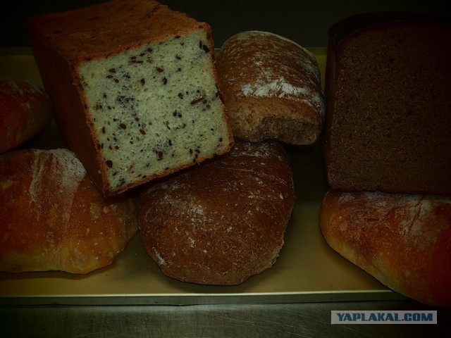 Хлеб-рулет из холода (не холодец!:))