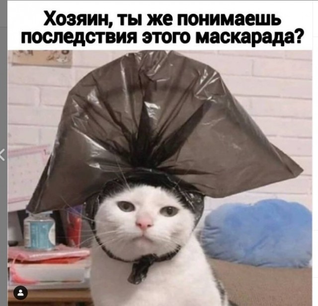 Картинки и мемы для настроения 002