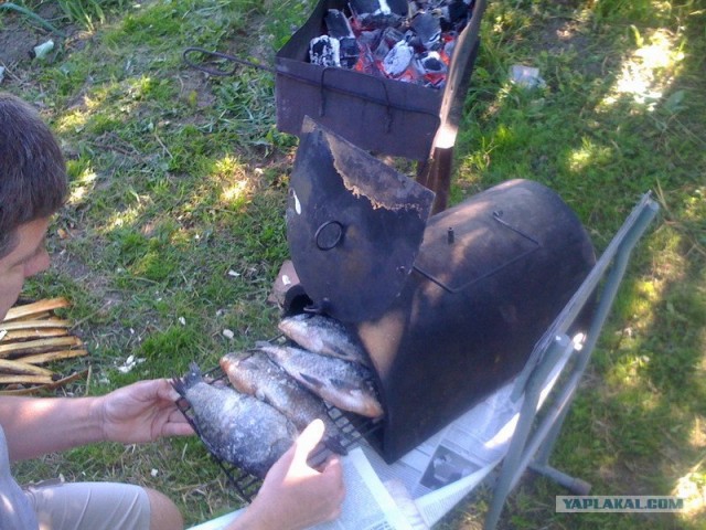 Все из рыбы!