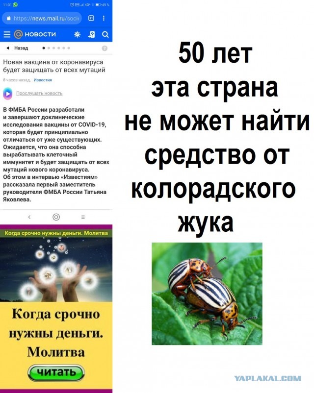 В Новопушкинском сквере в Москве проходит акция против принудительной вакцинации