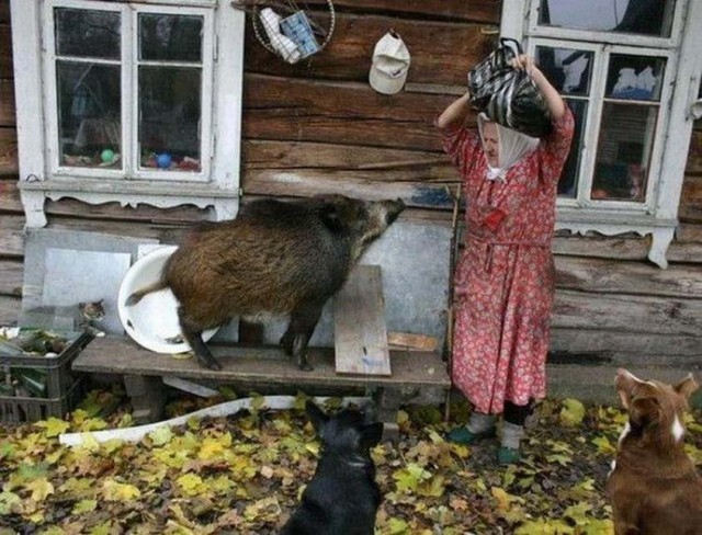 Чудики из социальных сетей 02.04.22