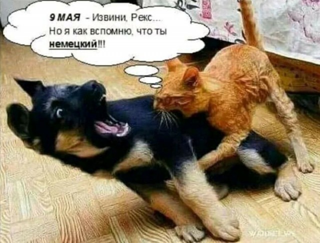 Так себе картинки 19.05.22