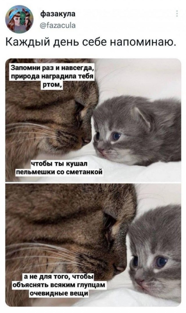 Картинки и мемы для настроения - 27