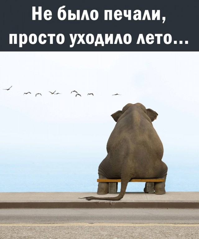 Немного мемчиков. Для взрослых. Часть 14