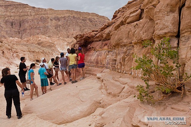 Синайские приключения. Шарм-эш-Шейх и окресности