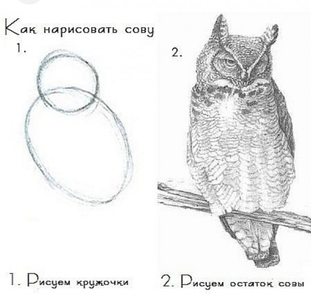 Шедевр, созданный на ровном месте