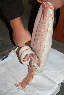 Строганина, Сугудай, Хэ - небратья!