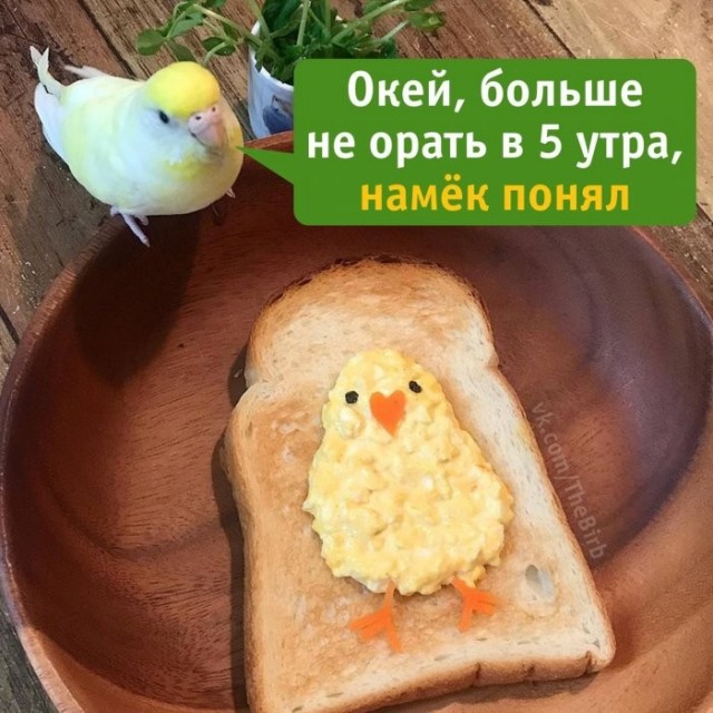 Картинки с надписями 09.04.23