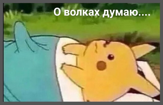 Бесит, когда срёшь на рельсы, показывая дух бунтарства и свободы, а тебе мешают волки