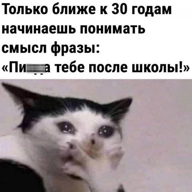 Картинки и мемы, это май-чародей всяко разно - 177