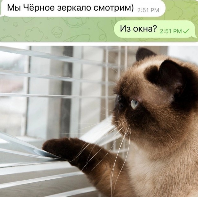 Нуштош 29.06.2023