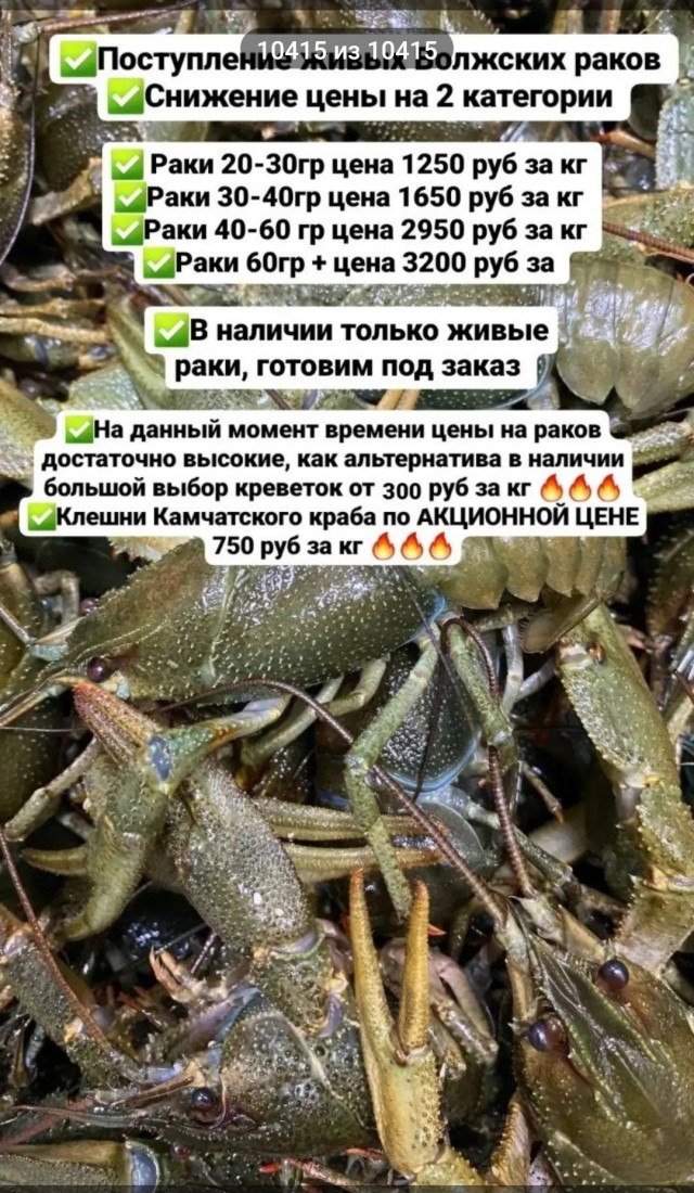 Крабы подешевели и сравнялись по стоимости с раками в России