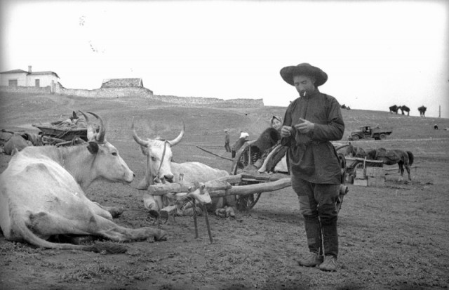 Фотографии из прошлого нашей страны - 35