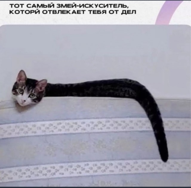Отряд быстрого деградирования