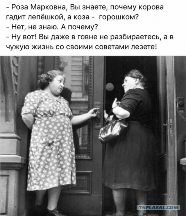 Одесский юмор для настроения - 3
