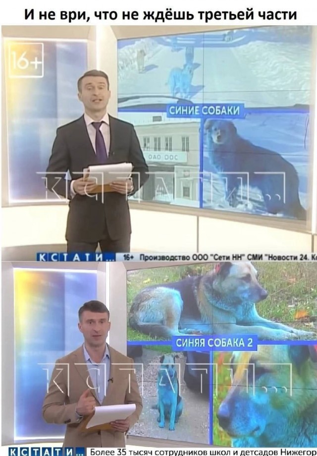 Всего понемногу. От 21.06.2024