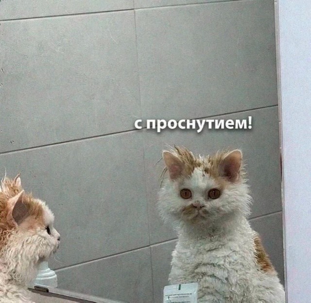 Так себе картинки 10.07.24