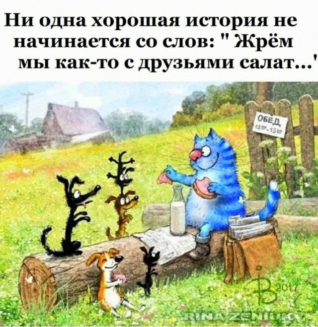 19524533.jpg